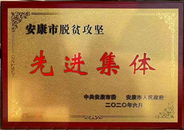 拼搏在线官网 - 首页